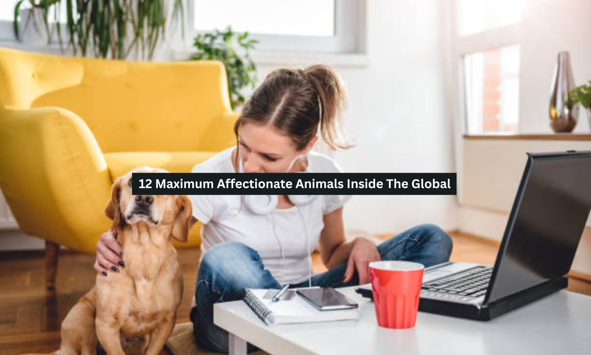 Affectionate Animals