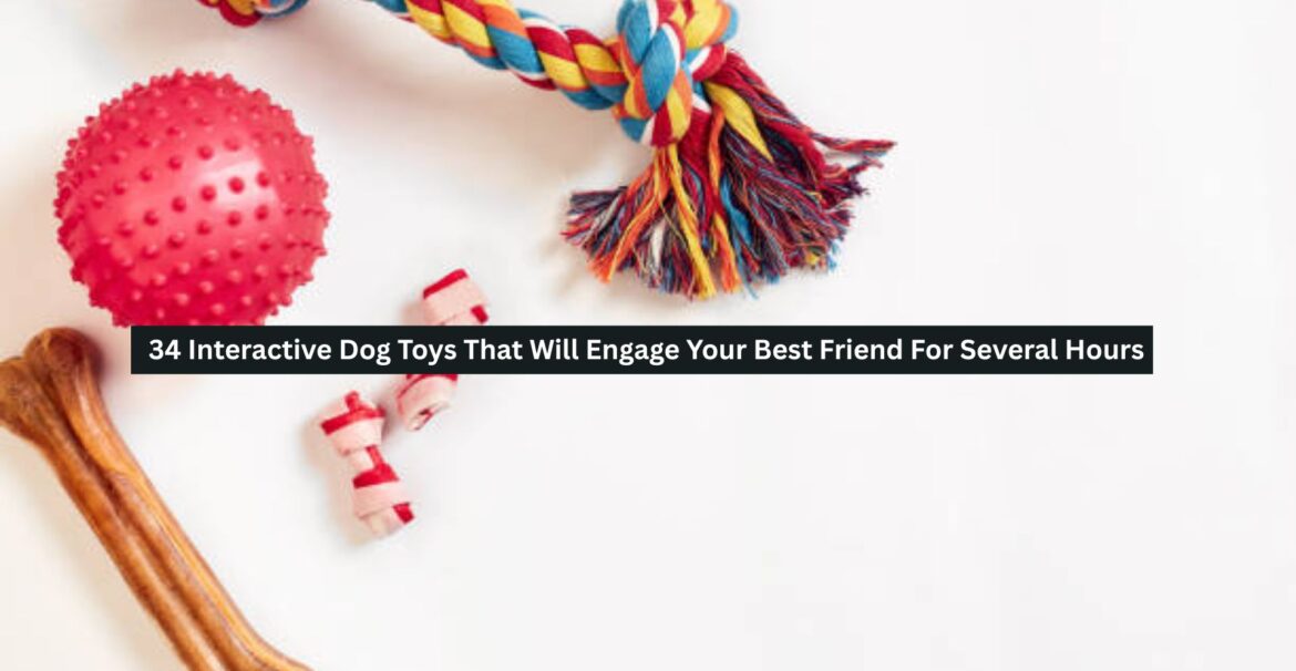Interactive Dog Toys