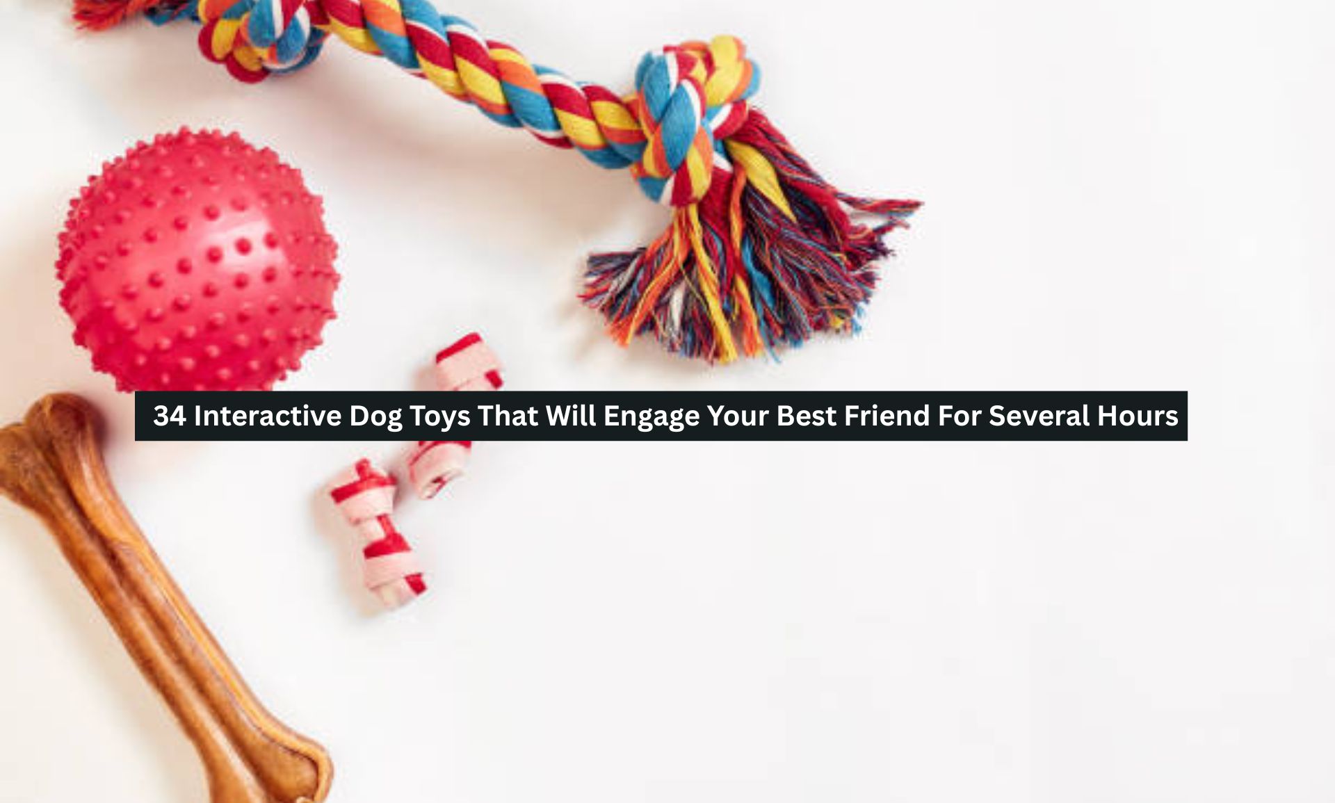 Interactive Dog Toys