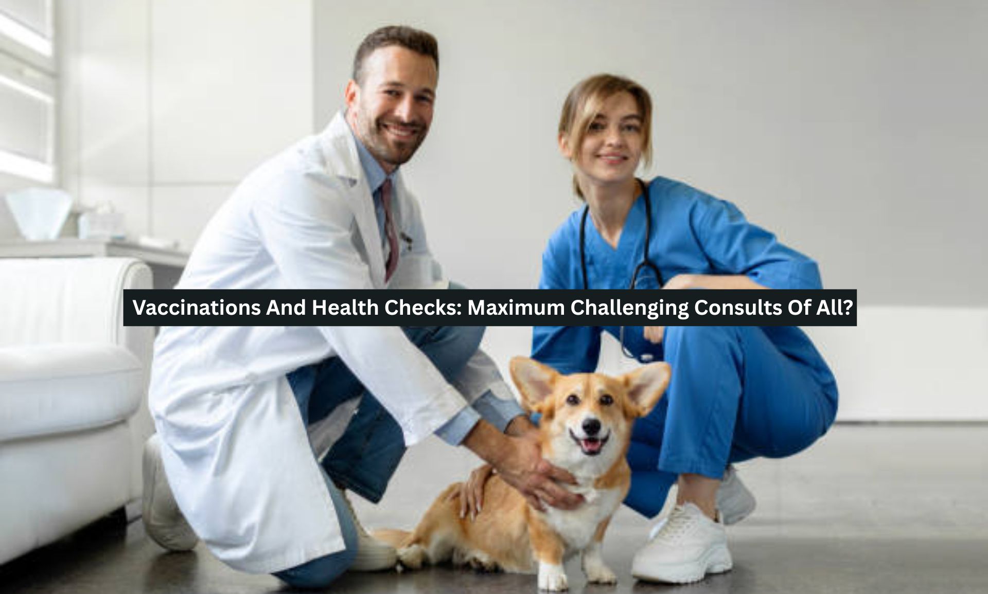 Vaccinations And Health Checks