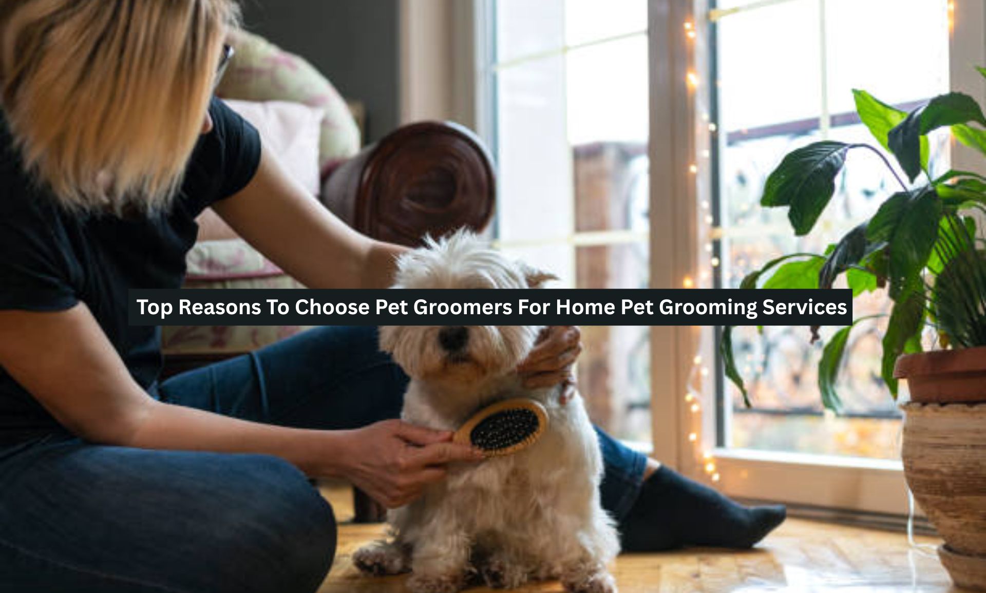 Pet Groomers