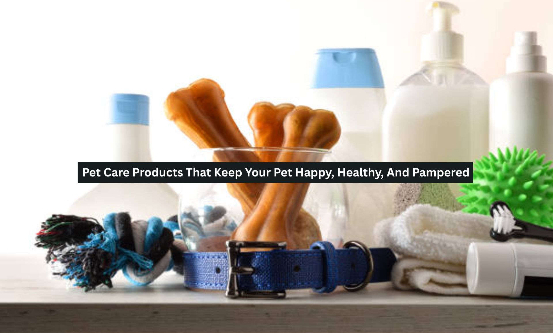 Pet Care Products