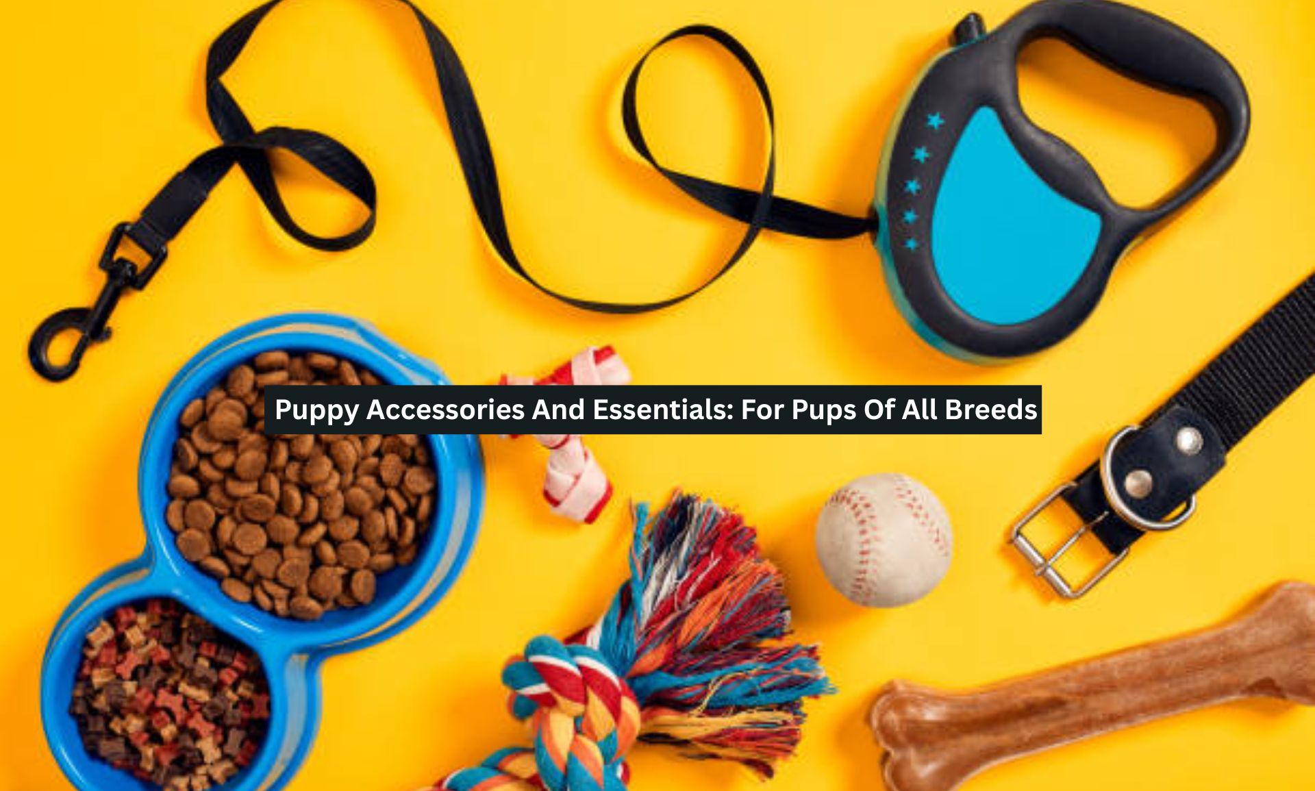 Puppy Accessories