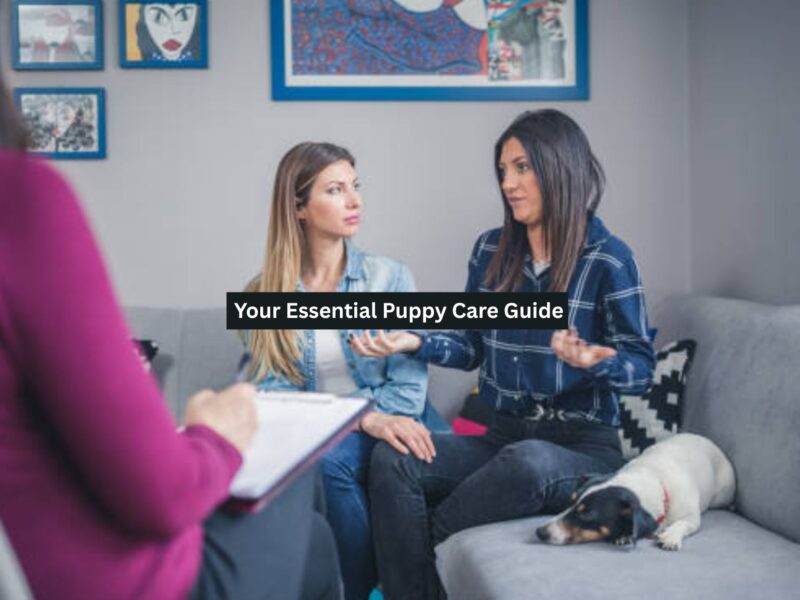 Puppy Care